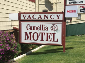 Отель Camellia Motel  Наррандера